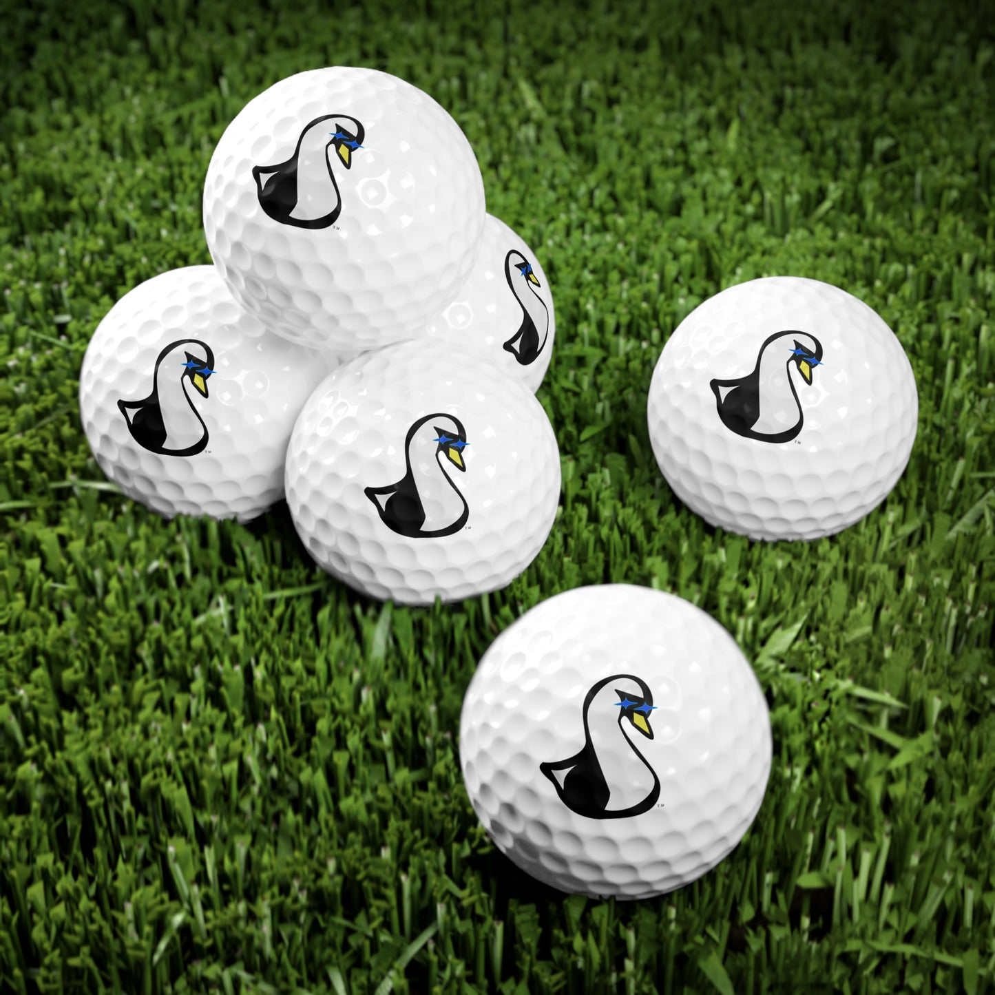 Savvy Ranger Golf Balls, 6pcs