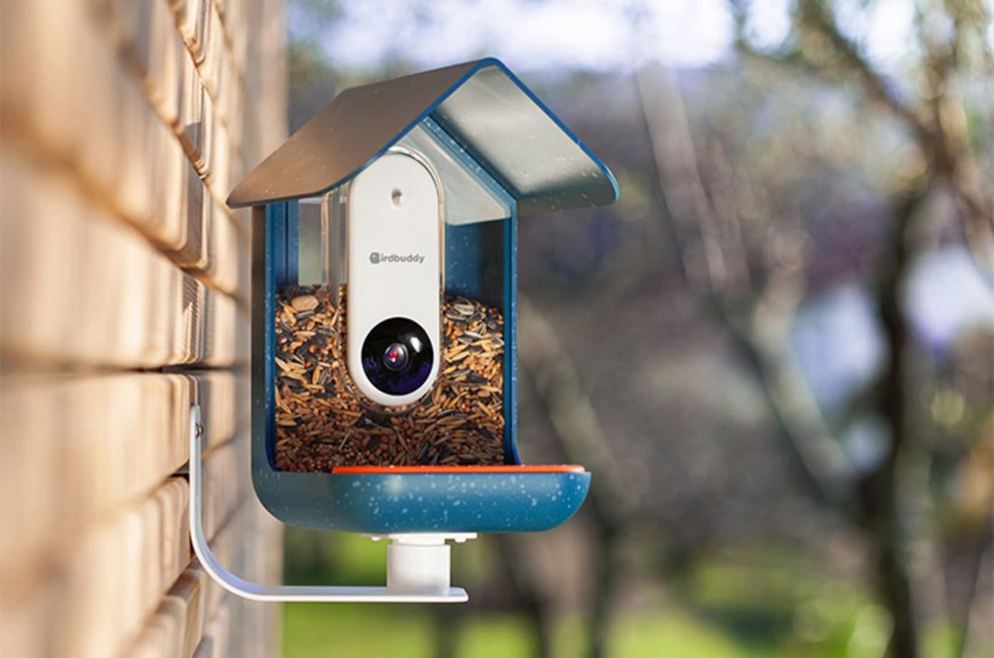 Bird Buddy | The Powerhouse Feeder That Won't Forget A Beak