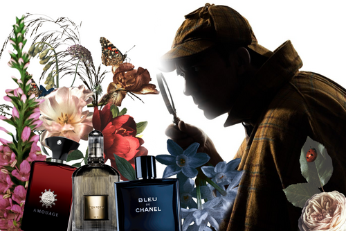 Finding the Best Fragrance for You